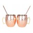 Set (Vasos cobre).