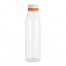 BOTELLA "ANDINA FROST"