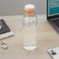 BOTELLA "ANDINA FROST"