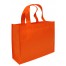 Eco Books Bag 