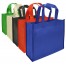 Eco Books Bag 
