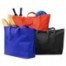 Eco Beach Bag 