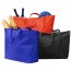 Eco Beach Bag 