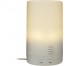 HUMIDIFICADOR DE AMBIENTE CON LUZ