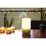 HUMIDIFICADOR DE AMBIENTE CON LUZ